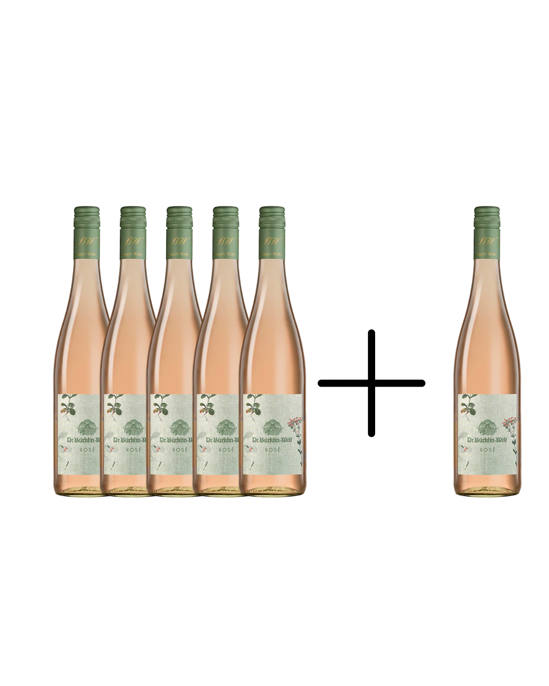 5+1 - Rosé trocken - Weingut Bürklin-Wolf