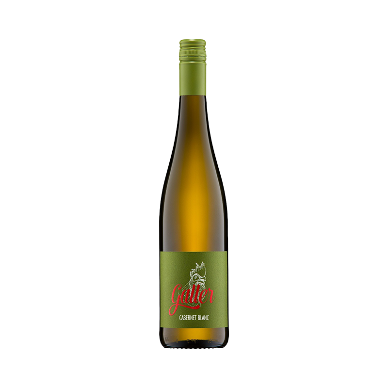 Cabernet Blanc trocken (Weingut Galler) - FRISCH - GRÜN - MODERN