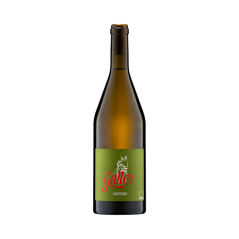 Sauvignac trocken (Weingut Galler) - FRISCH - EXOTISCH -FRUCHTIG